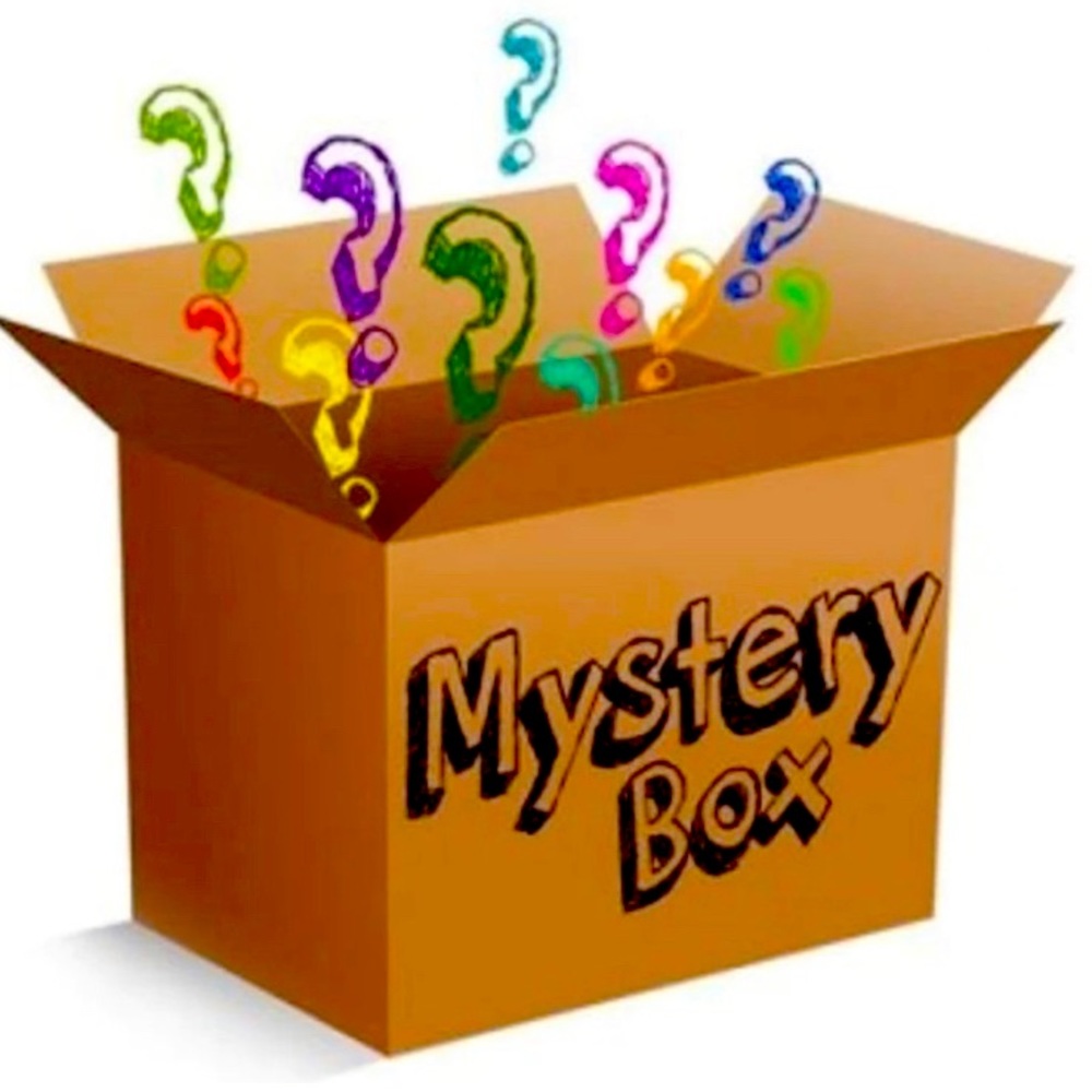 3 Purse Mystery Box